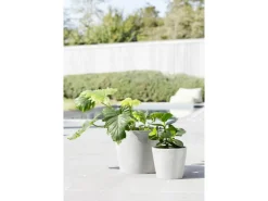 Ecopots Pflanztopf Amsterdam Weiß 20 cm x 17,5 cm