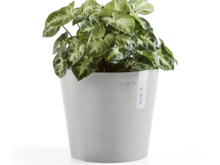 Ecopots Pflanztopf Amsterdam Mini Weißgrau 17 cm