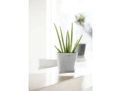 Ecopots Pflanztopf Amsterdam Mini Weißgrau 17 cm