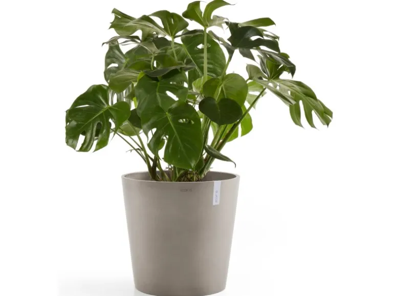 Ecopots Pflanztopf Amsterdam Braungrau 50 cm
