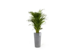 Ecopots Pflanztopf Amsterdam Hoch Grau 41 cm x 76 cm
