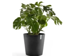 Ecopots Pflanztopf Amsterdam Dunkelgrau 50 cm