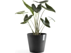 Ecopots Pflanztopf Amsterdam Dunkelgrau Ø 30 cm / Höhe 26,3 cm
