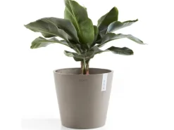 Ecopots Pflanztopf Amsterdam Braungrau 30 cm