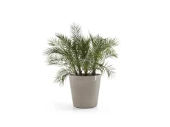 Ecopots Pflanztopf Amsterdam Rollen Taupe 60 cm x 56 cm