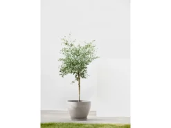 Ecopots Pflanztopf Antwerp Braungrau 40 cm