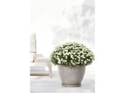 Ecopots Pflanztopf Antwerp Braungrau 40 cm