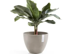 Ecopots Pflanztopf Antwerp Braungrau 50 cm