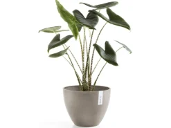 Ecopots Pflanztopf Antwerp Braungrau 50 cm
