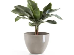 Ecopots Pflanztopf Antwerp Braungrau 30 cm