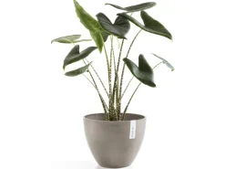 Ecopots Pflanztopf Antwerp Braungrau 30 cm