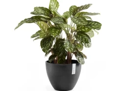 Ecopots Pflanztopf Antwerp Dunkelgrau 40 cm