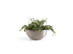 Ecopots Pflanztopf Brussels Braungrau 30 cm x 14 cm