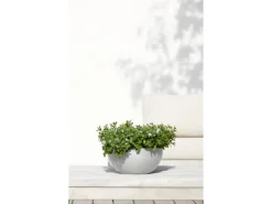 Ecopots Pflanztopf Brussels Weißgrau 30 cm x 14 cm