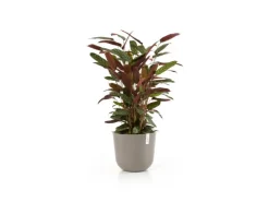 Ecopots Pflanztopf Oslo Braungrau Ø 35 cm / Höhe 30,5 cm