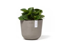 Ecopots Pflanztopf Oslo Mini Braungrau 16 cm x 14 cm