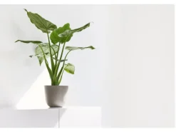 Ecopots Pflanztopf Oslo Mini Braungrau 19 cm x 16,5 cm