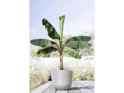 Ecopots Pflanztopf Oslo Weißgrau 45 cm x 39,2 cm