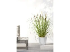 Ecopots Pflanztopf Oslo Weiß 25 cm x 21,8 cm