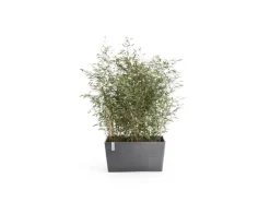Ecopots Pflanztopf Paris Grau (HxBxT) 50 x 99 x 46 cm