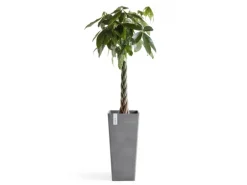 Ecopots Pflanztopf Rotterdam High 32,5 cm x 32,5 cm  Grau