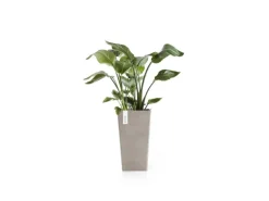 Ecopots Pflanztopf Rotterdam Halbhoch Braungrau 31 cm x 56 cm