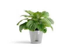 Ecopots Pflanztopf Venice 2 Weißgrau 30 cm x 26,3 cm