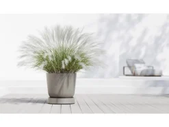 Ecopots Untersetzer Oslo Rollen Braungrau 50 cm x 10,5 cm