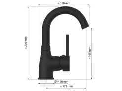 Eisl Waschtischarmatur Futura Schwarz Matt