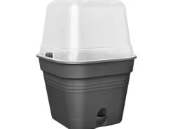 Elho Anzuchttopf Green Basics All-in-One 15 cm x 15 cm x 12,1 cm Schwarz