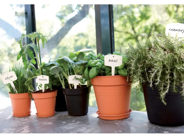 Elho Anzuchttopf Green Basics Ø 11 cm living schwarz