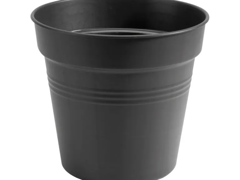 Elho Anzuchttopf Green Basics Ø 13 cm living schwarz