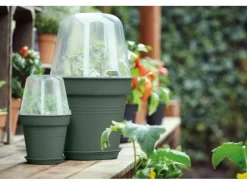 Elho Anzuchttopf Green Basics Ø 27 cm laubgrün