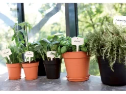 Elho Anzuchttopf Green Basics Ø 17 cm living schwarz