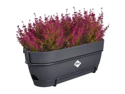 Elho Balkonkasten Vibia Campana 50 cm x 26 cm x 17 cm Anthrazit