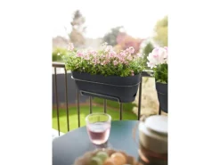 Elho Balkonkasten Vibia Campana 50 cm x 26 cm x 17 cm Anthrazit
