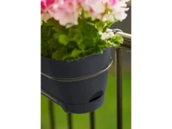 Elho Balkonkasten Vibia Campana 50 cm x 26 cm x 17 cm Anthrazit