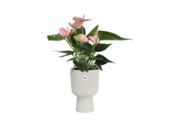 Elho Übertopf Vibes Fold Coupe 14 cm x 13,9 cm x 21 cm Weiß