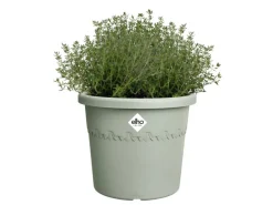 Elho Blumentopf Algarve Cilindro Ø 25 cm x 21 cm Grün