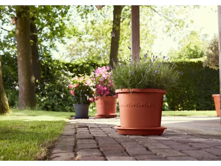 Elho Blumentopf Algarve Cilindro Ø 29 cm x 25 cm Terrakotta