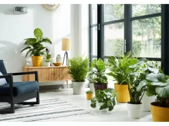 Elho Blumentopf B.for Original Mini Ø 7 cm x 6 cm Weiß