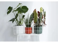 Elho Blumentopf B.For Soft Rund Ø 13,8 cm Weiß