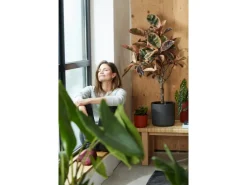 Elho Blumentopf B.For Soft Rund Ø 18,3 cm Anthrazit