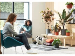 Elho Blumentopf B.For Soft Rund Ø 16 cm Anthrazit