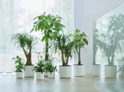 Elho Blumentopf B.For Soft Rund Ø 18,3 cm Weiß