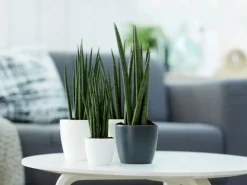 Elho Blumentopf Brussels Rund Mini Ø 9,5  weiß