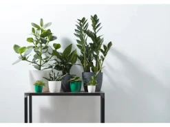 Elho Blumentopf Brussels Rund Mini Ø 12,5  weiß