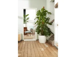 Elho Blumentopf Brussels Rund mit Rollen Ø 35 weiß