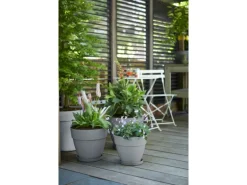 Elho Blumentopf Vibia Campana Ø 20 cm x 17 cm Living Beton