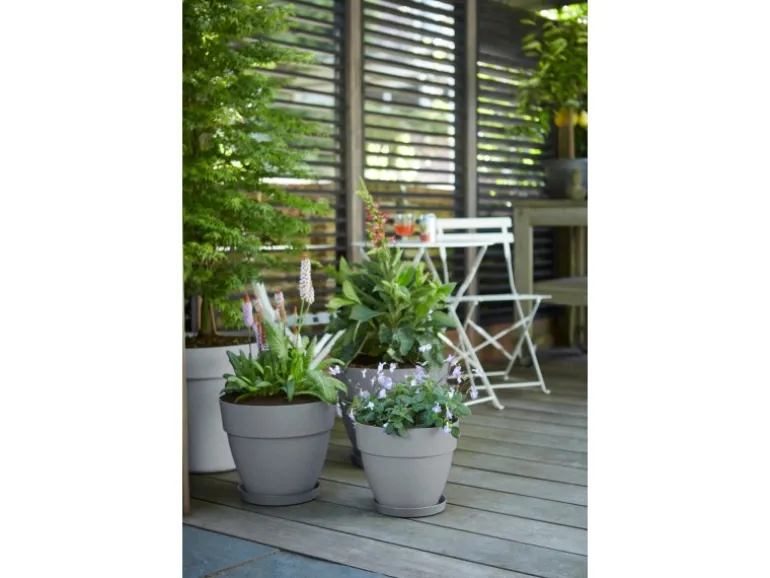 Elho Blumentopf Vibia Campana Ø 30 cm x 26 cm Living Beton